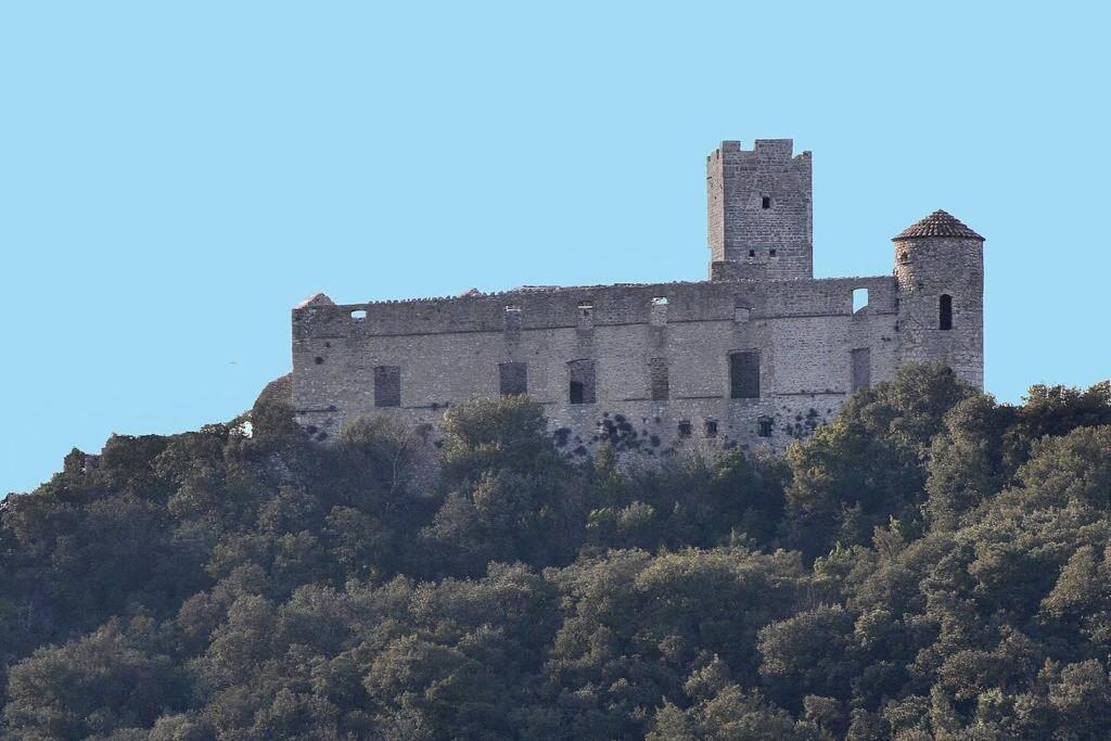 Anduze Gite Les Pins Au "Petit Clos Des Cigales" Massillargues-Attuech Exterior foto